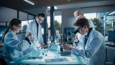 Audit/ QC/ Management Services